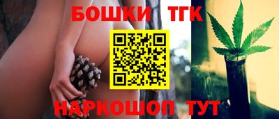 Альфа ПВП Сланцы
