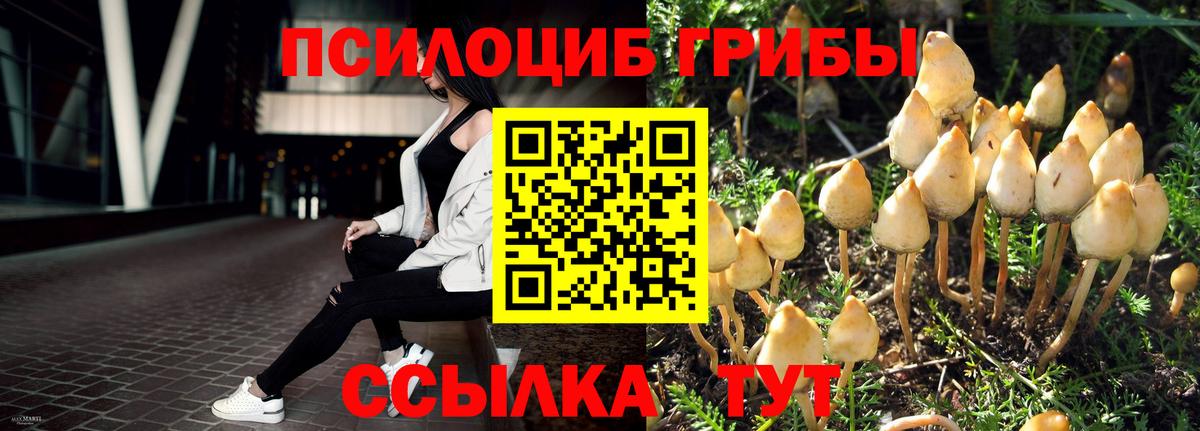 Псилоцибиновые грибы Cubensis  Вход с VPN  Саранск 